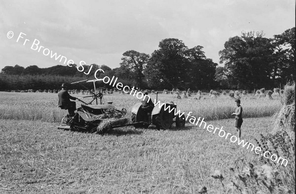 HARVESTING AT ST MARY'S THE HELPERS